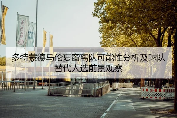 多特蒙德马伦夏窗离队可能性分析及球队替代人选前景观察